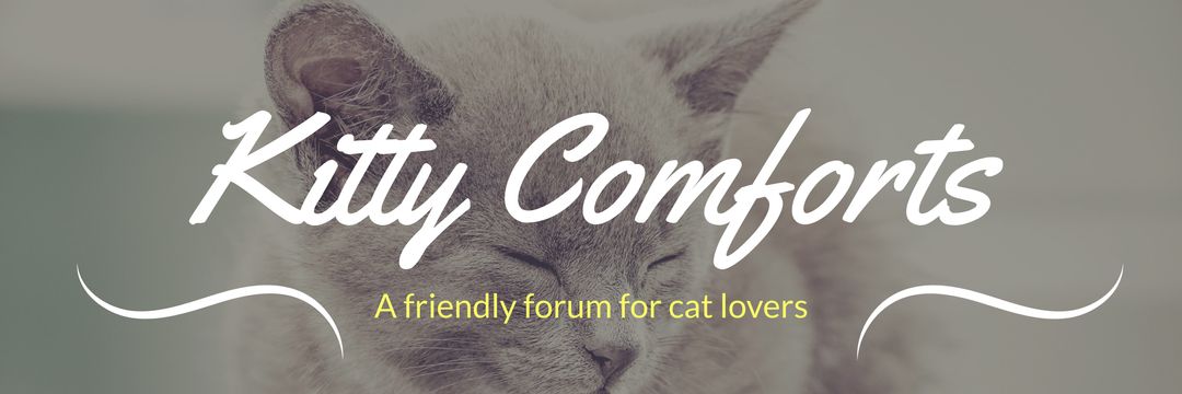 Kitty Comforts Cat Lovers Forum Banner