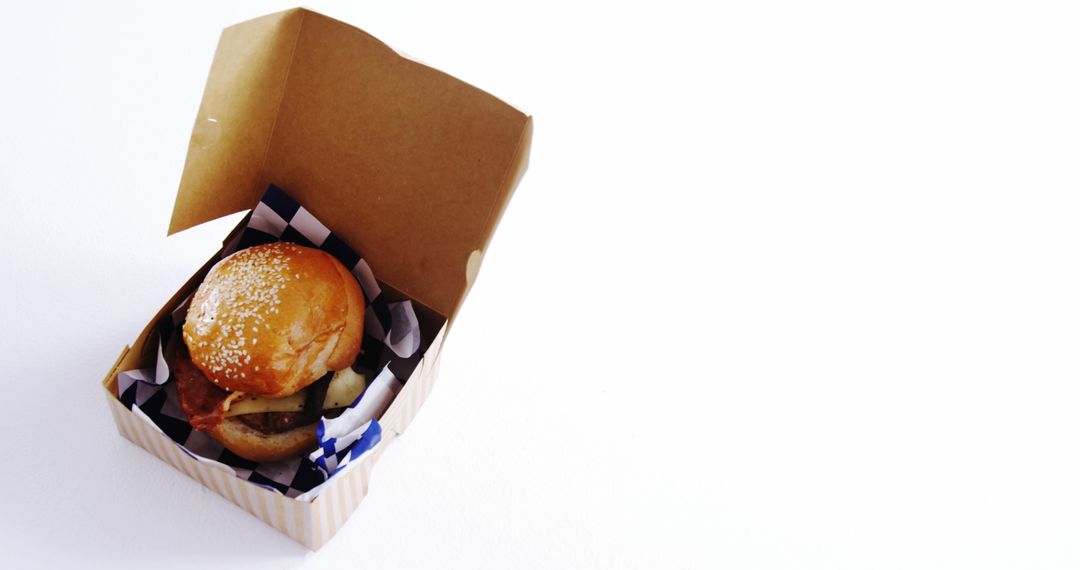 Gourmet Burger in Takeout Box on White Background - Free Images, Stock Photos and Pictures on Pikwizard.com