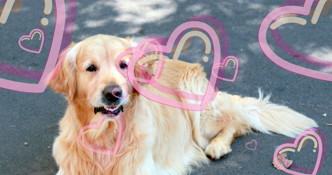 Golden Retriever With Heart Icons Celebrating National Dog Day