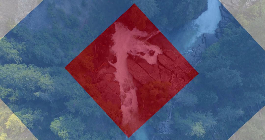 Patriotic Overlay of USA Flag Colors on Forest Landscape