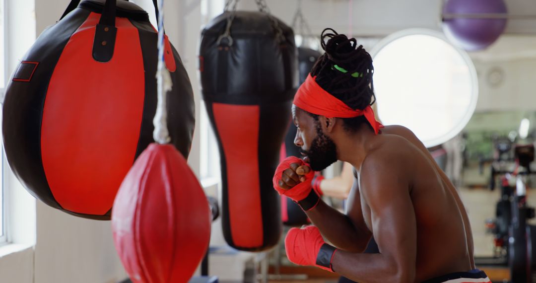 Young Afro-Trinidadian Man Training with Punching Bag in Gym - Free Images, Stock Photos and Pictures on Pikwizard.com