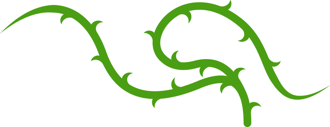Organic Vine Motif with Thorned Tendrils on Transparent