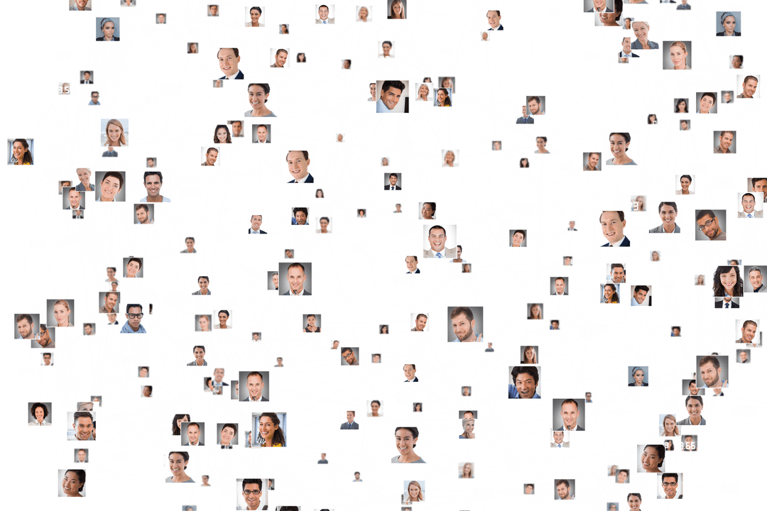 Transparent Network of Diverse Business Professionals Collaborating