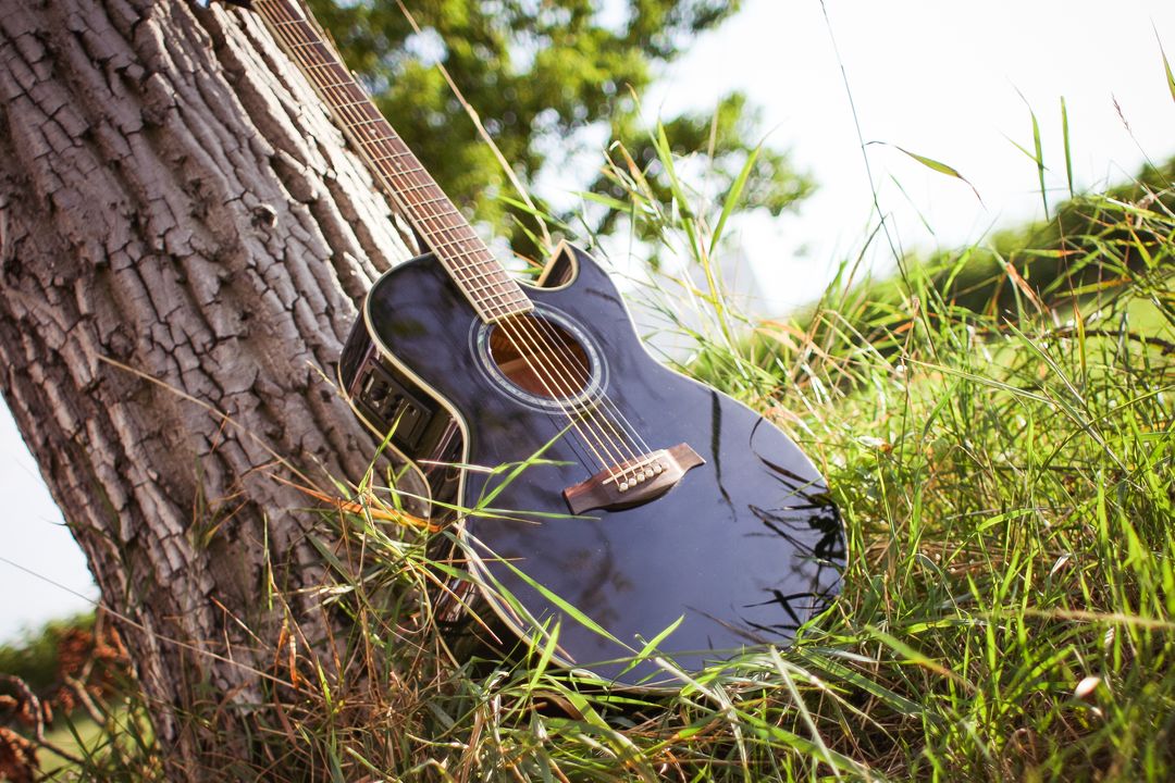 Black Acoustic Guitar Leaning Against Tree in Sunny Field - Free Images, Stock Photos and Pictures on Pikwizard.com