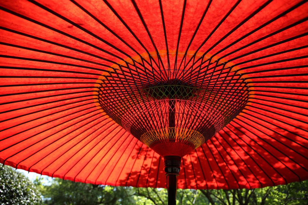 Close-Up of Red Umbrella Canopy with Sunlight and Blue Sky in Background - Free Images, Stock Photos and Pictures on Pikwizard.com