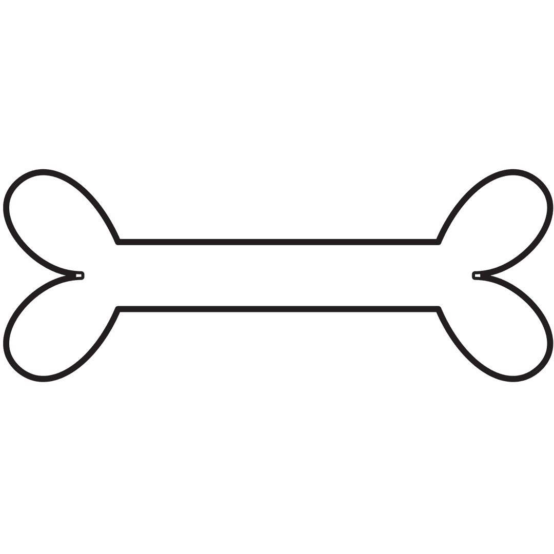 Minimalist Dog Bone Symbol on Transparent Background