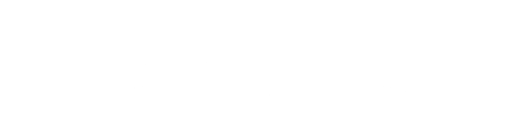 Elegant Transparent Floral Ornament Design with Curved Lines - Download Free Stock Images Pikwizard.com