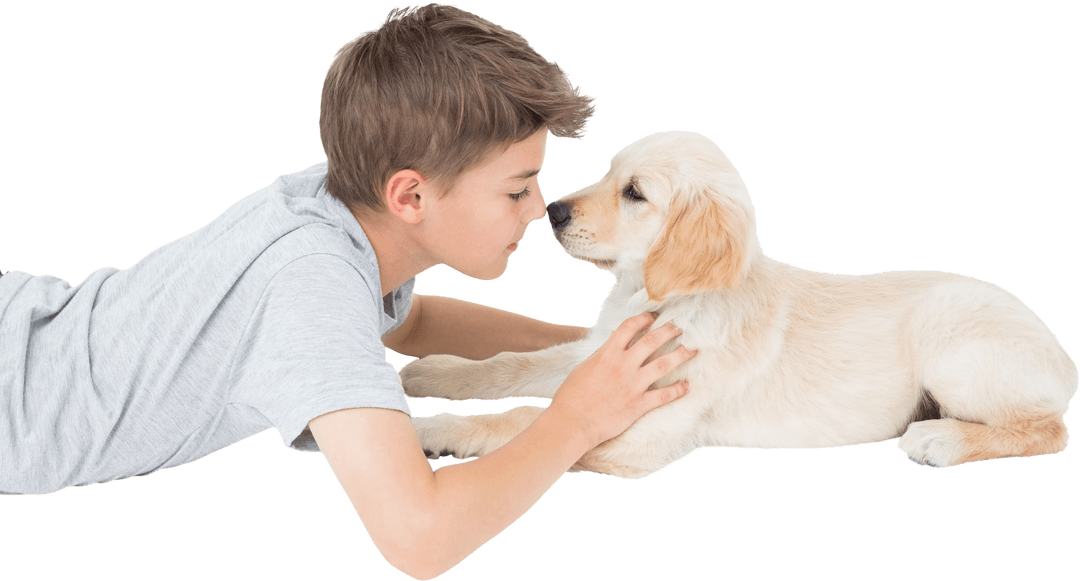 Happy Boy Bonding with Golden Puppy on White Background Transparent
