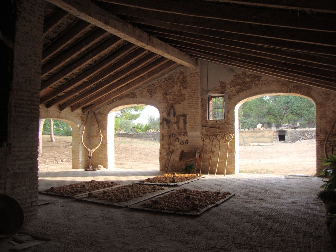 Rustic Barn Interior with Sunlight Filtering Through Arches