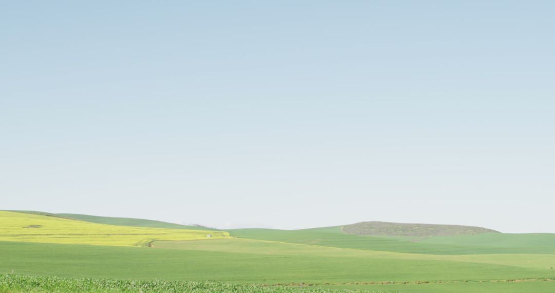 Sunny Meadow and Rolling Hills Under Spacious Sky