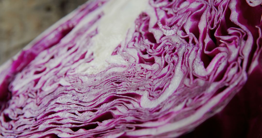 Close-up of the intricate patterns and textures of a sliced red cabbage, with copy space - Free Images, Stock Photos and Pictures on Pikwizard.com