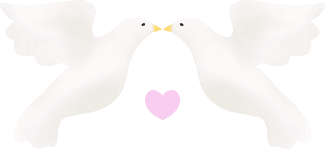 Transparent Minimal Design of White Doves Capturing Symmetry and Serenity