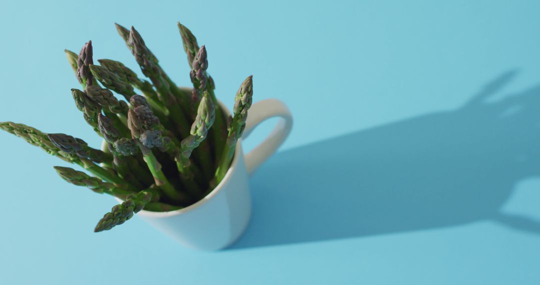 Fresh Asparagus in White Mug Against Blue Background - Free Images, Stock Photos and Pictures on Pikwizard.com