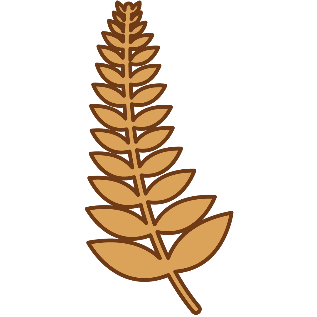 Digital Illustration of Fern Leaf on Transparent Background - Download Free Stock Images Pikwizard.com