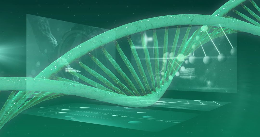 DNA Strand with Digital Data Overlay in Scientific Interface