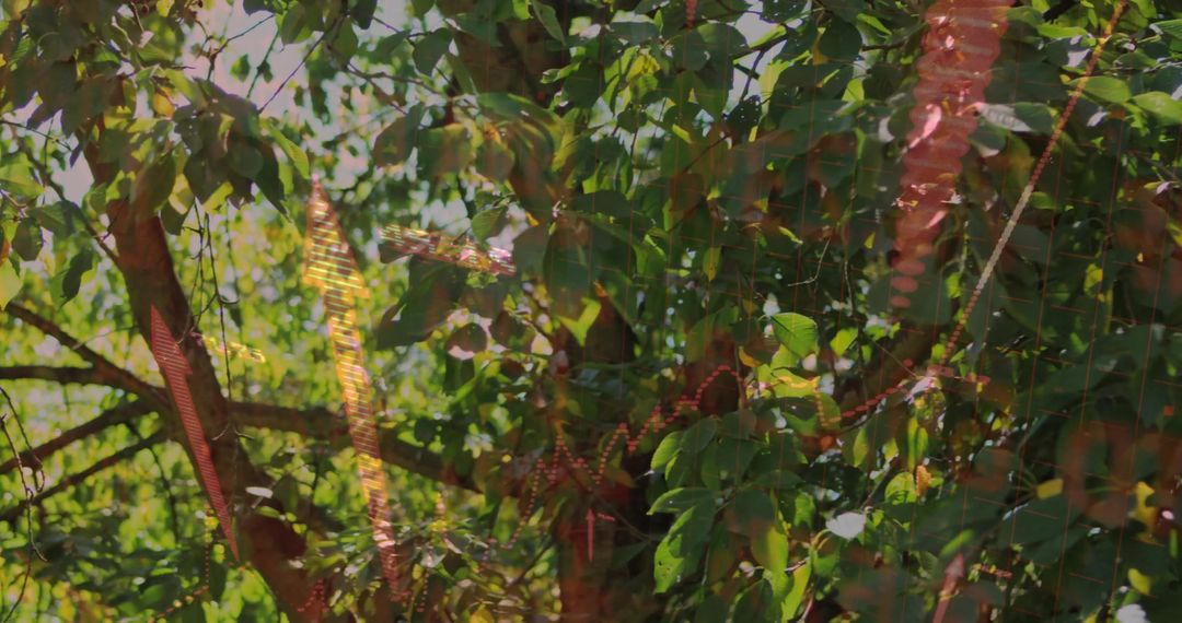 Tree with Sunlit Foliage and Draping Red Beads