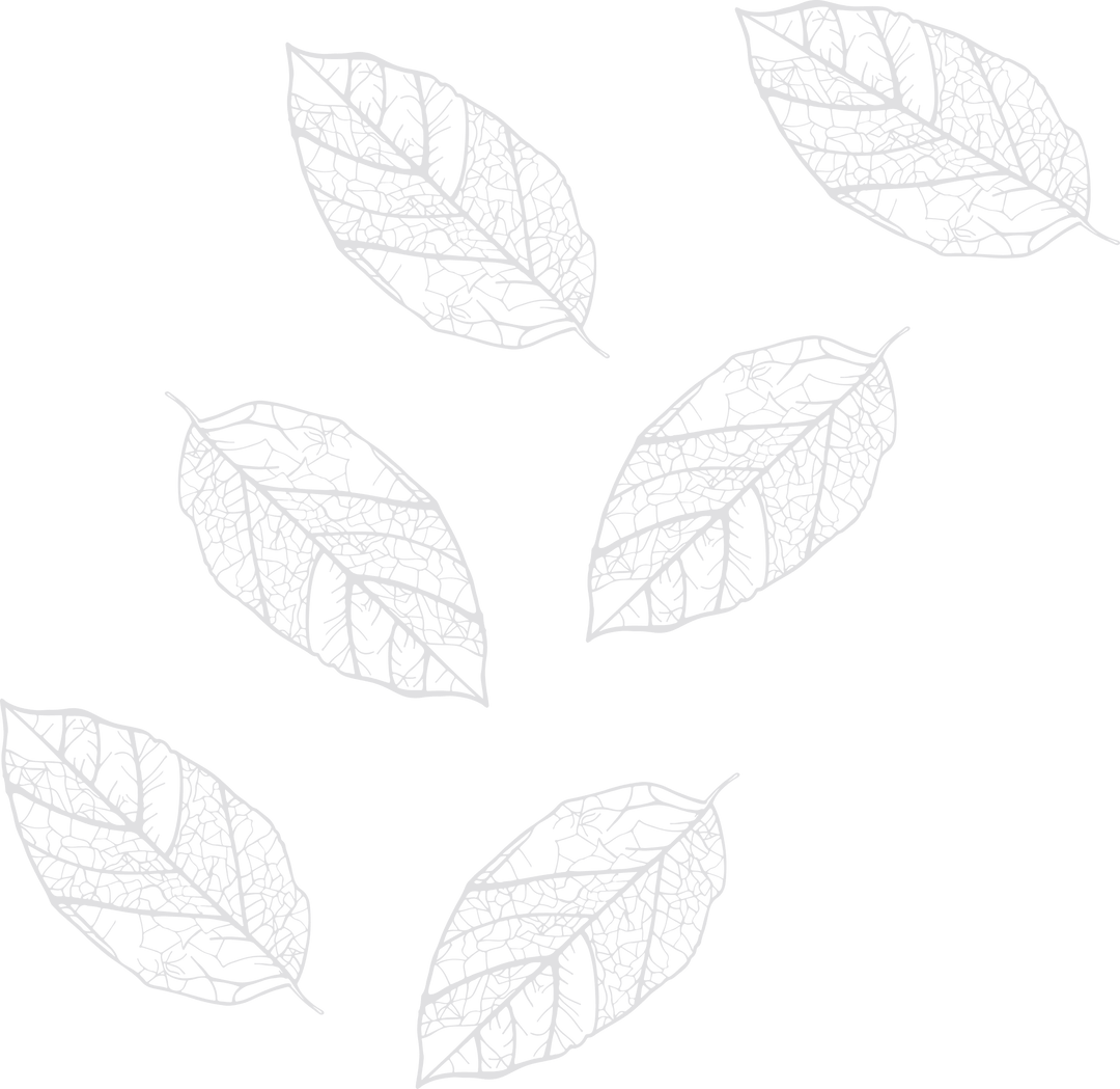 Floating Leaves Vector Art on Transparent Background