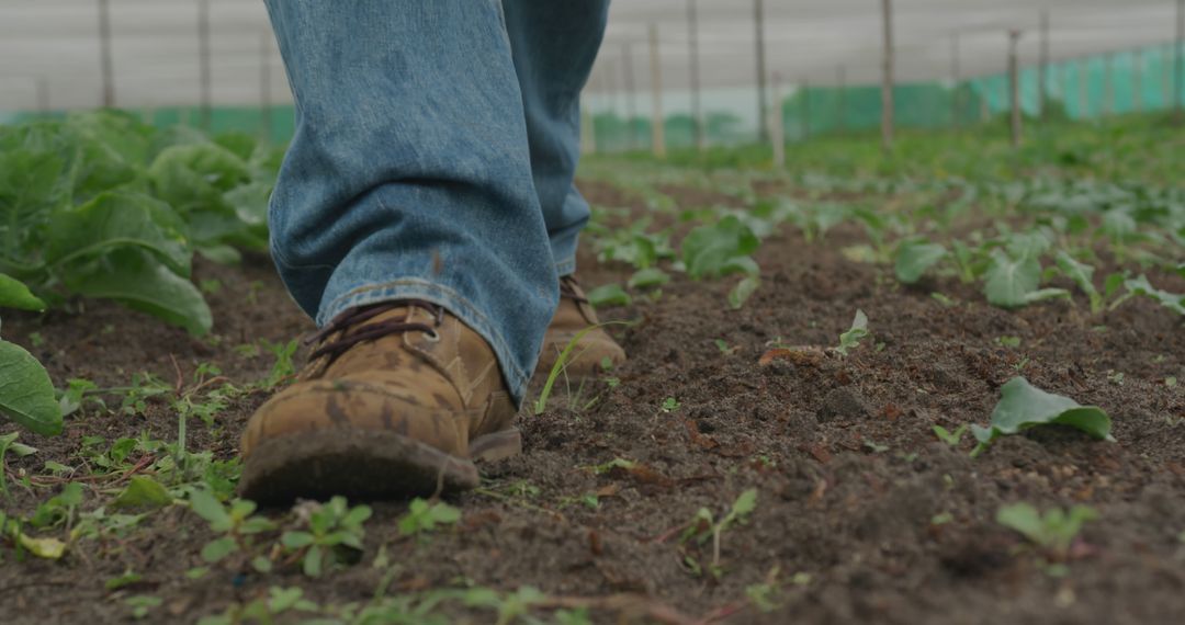 Close-Up of Boots Walking in Lush Green Garden with Soil