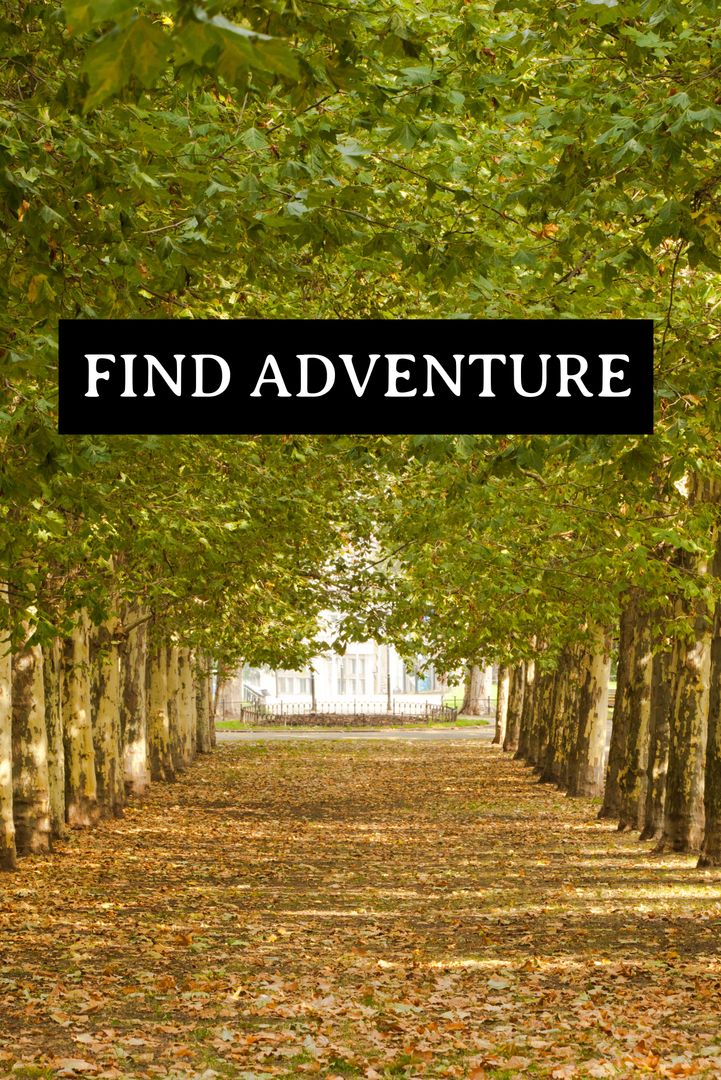Inviting Tree-Lined Pathway Encouraging Adventure and Exploration