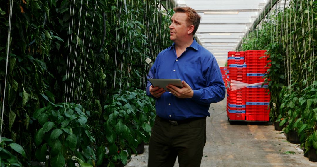 Agricultural Engineer Managing Growth in Modern Greenhouse with Tablet - Free Images, Stock Photos and Pictures on Pikwizard.com