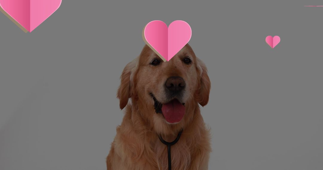 Golden Retriever with Floating Heart Graphics Captures Love and Loyalty