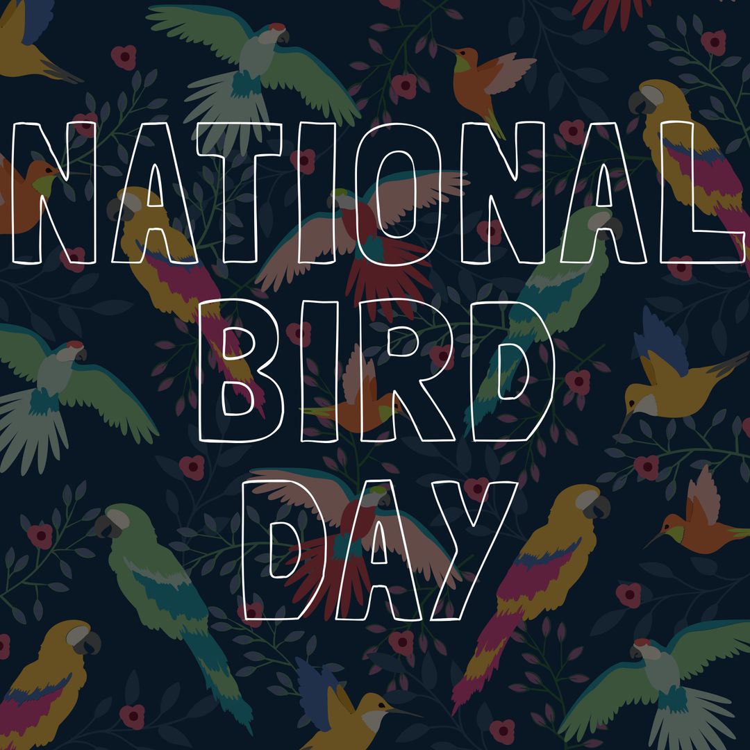 National Bird Day Colorful Bird Illustrations Background