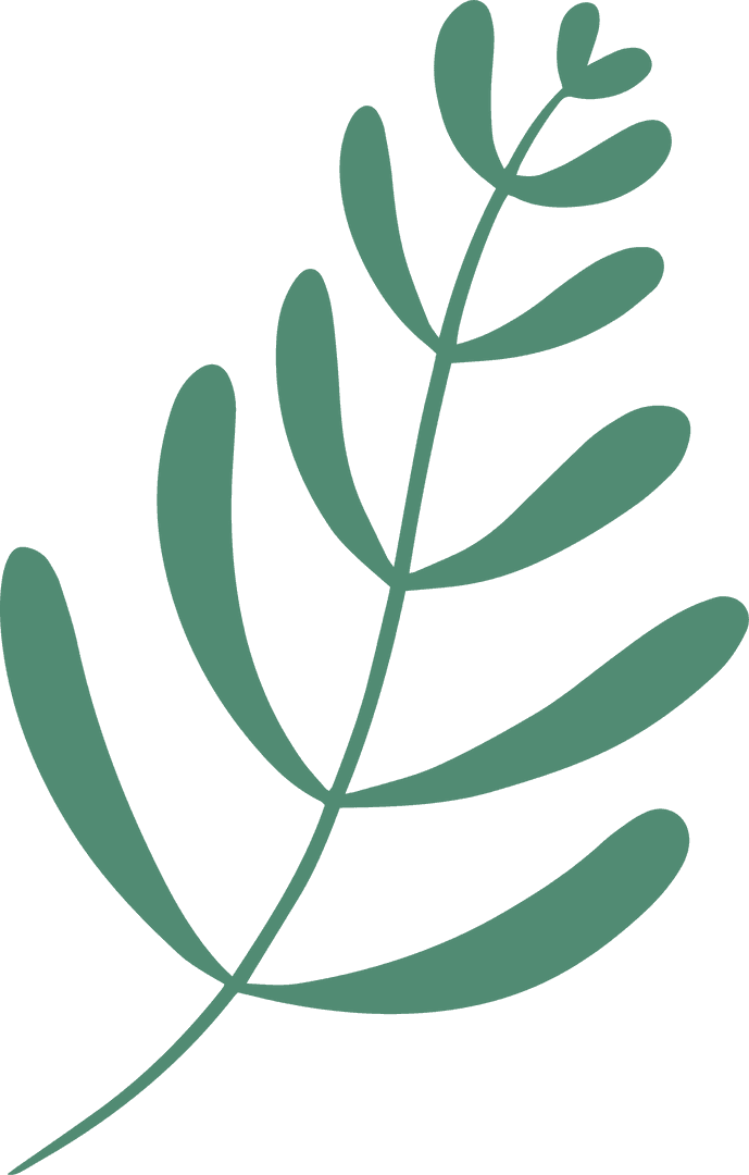 Green Botanical Branch Flat Vector on Transparent Background