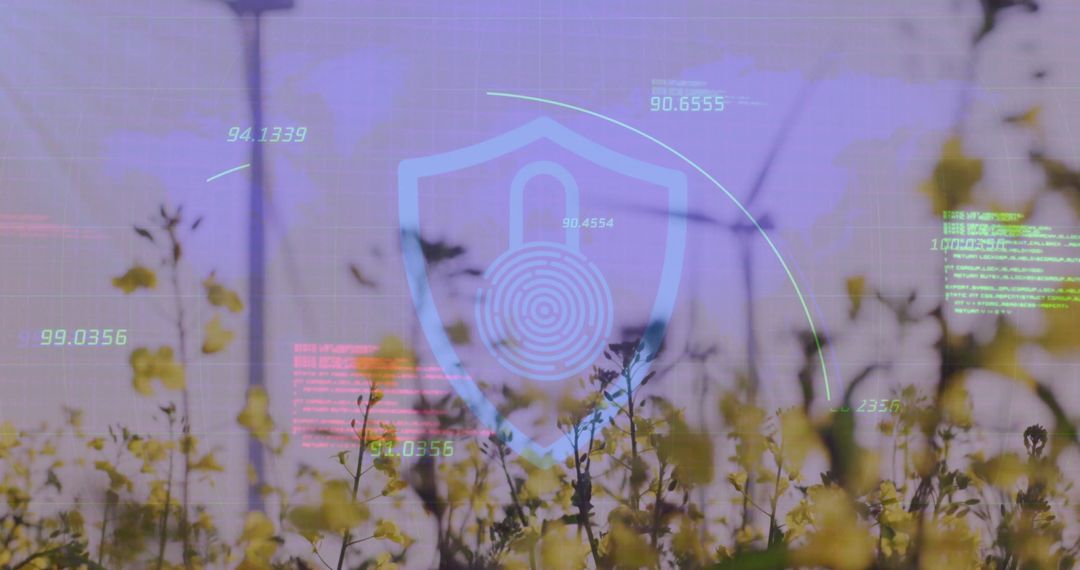 Biometric Security Overlay Meadow Setting Protecting Data