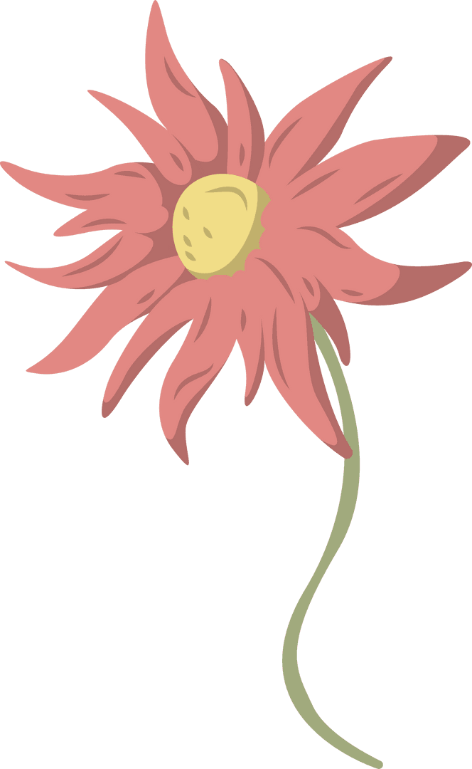 Vector Botanical Floral Design with Coral Petals on Transparent Background