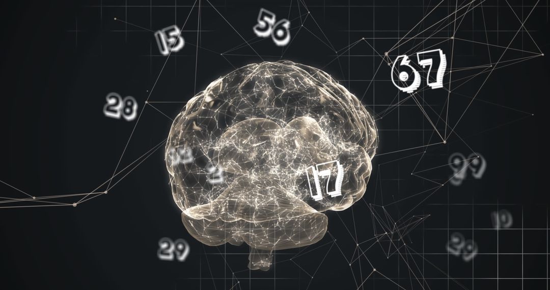Abstract Digital Brain with Floating Numbers and Connections