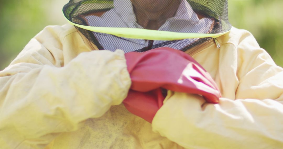 Beekeeper wearing protective suit with close-up of gloved hands - Free Images, Stock Photos and Pictures on Pikwizard.com