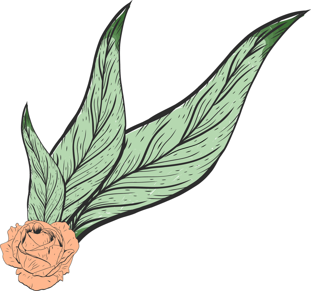 Minimalistic Floral Motif Featuring Peach Rose on Transparent Background