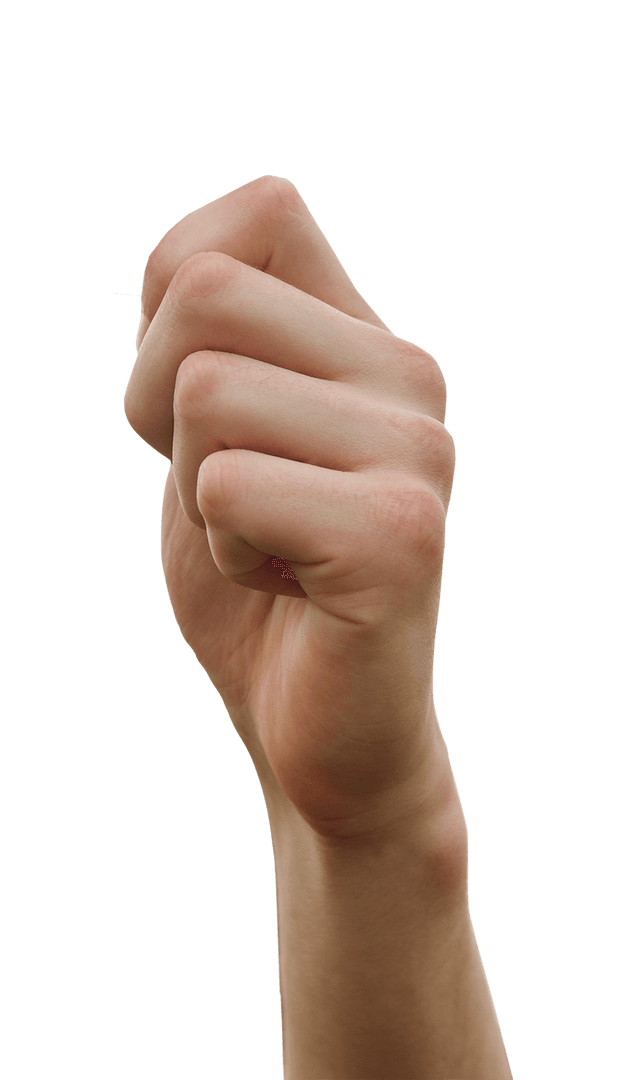 Transparent Hand Gesturing as if Holding