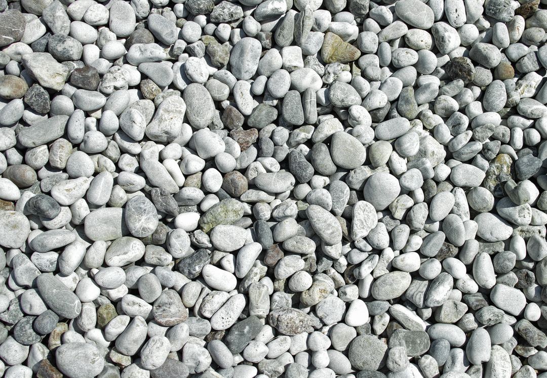 Backgrounds beach closeup gravel - Free Images, Stock Photos and Pictures on Pikwizard.com