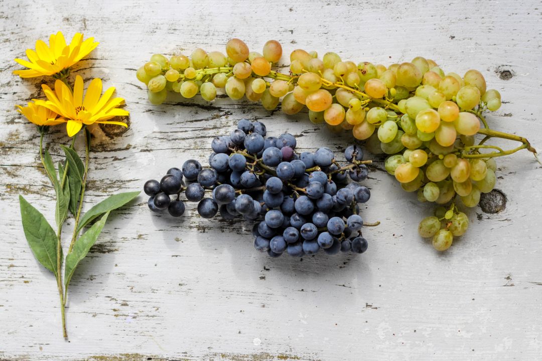 Various Grapes and Yellow Flowers on Rustic White Wood Background - Free Images, Stock Photos and Pictures on Pikwizard.com