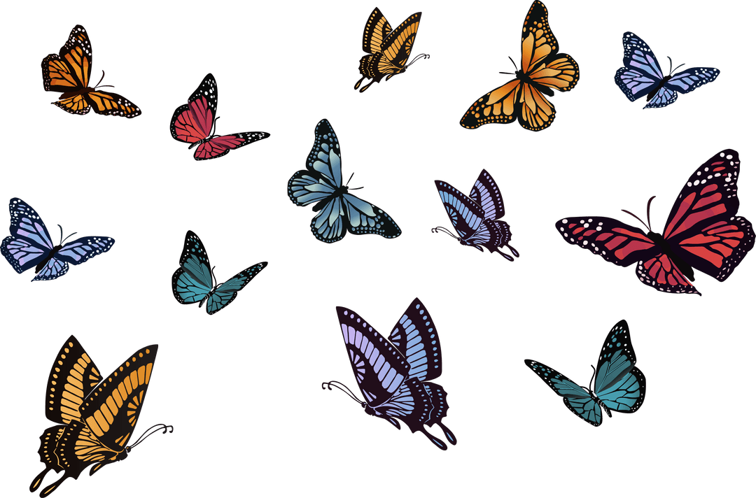 Colorful Flat Design Butterflies on Transparent Background