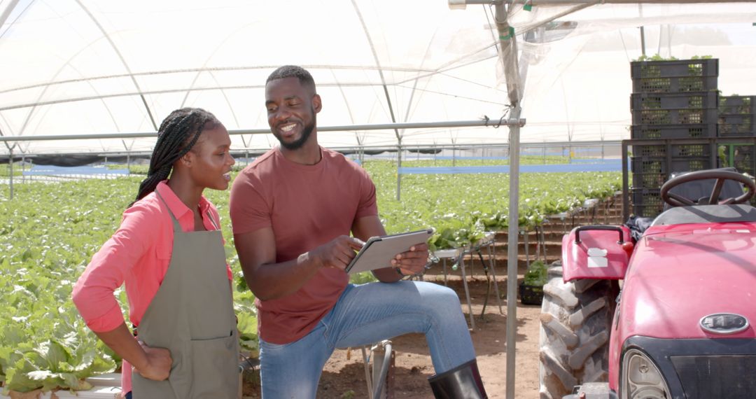 African American Farmers Using Tablet in Hydroponic Greenhouse