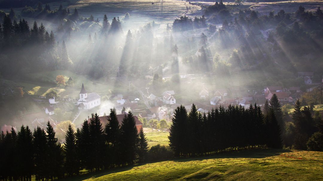 Sun Rays Shining Through Trees Over Misty Village - Free Images, Stock Photos and Pictures on Pikwizard.com