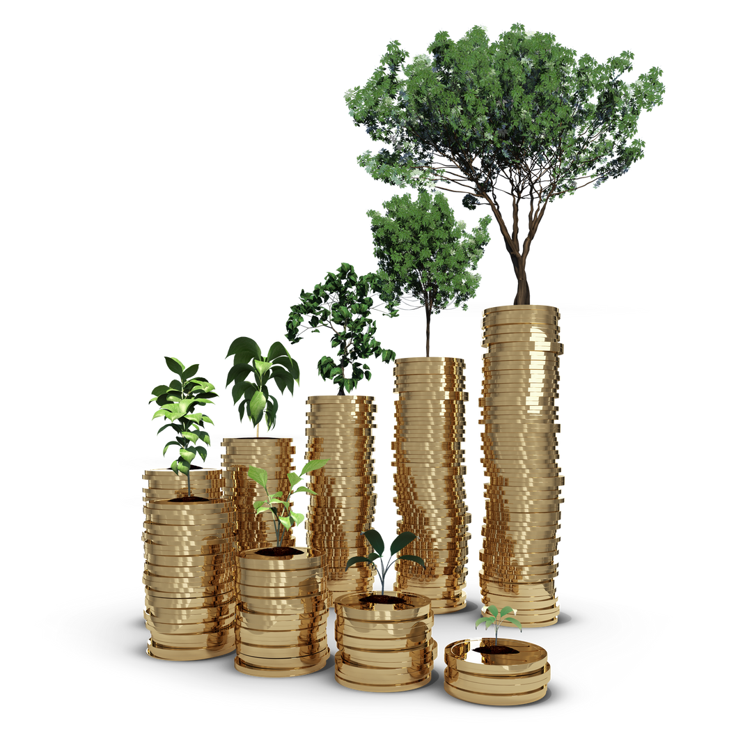 Stacks of Golden Coins with Growing Trees, Transparent Background - Download Free Stock Images Pikwizard.com