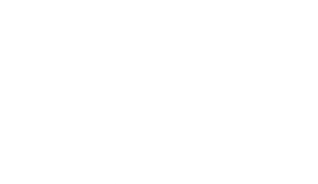 Digital Silhouette of Man Lifting Barbell on Transparent Background - Download Free Stock Images Pikwizard.com