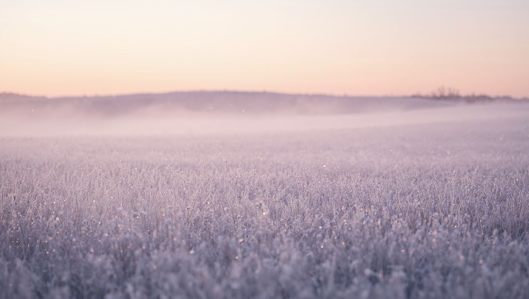 Pastel Sunrise Over Frosted Meadow with Glittering Ice Crystals, Low Mist, Soft Haze Horizon