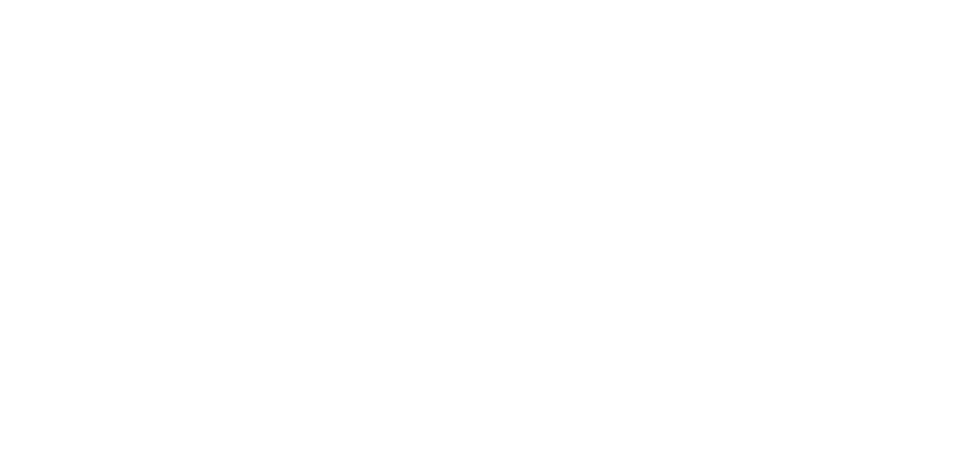 Simple White Bat Outline on Transparent Background