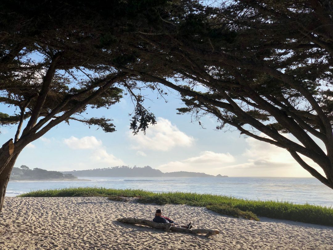 Serene coastal relaxation on sandy beach shoreline
