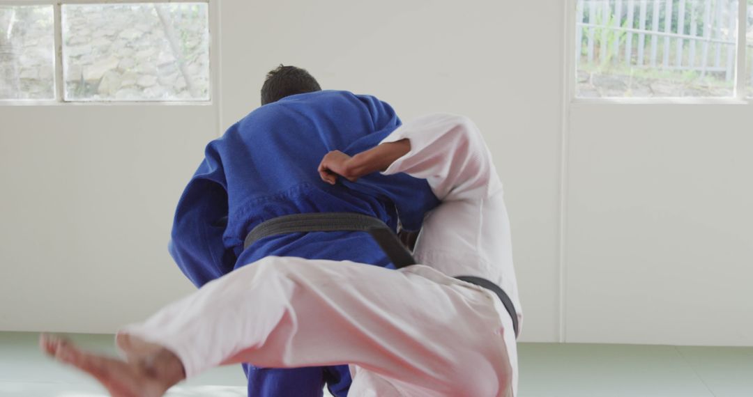 Judo Fighters Practicing Throwing Technique in Martial Arts Training - Free Images, Stock Photos and Pictures on Pikwizard.com