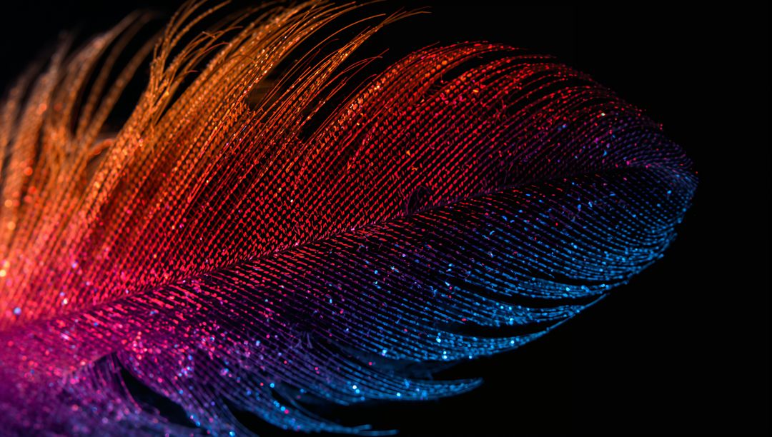 Iridescent Feather Macro Showing Vibrant Red to Blue Gradient with Glitter on Black