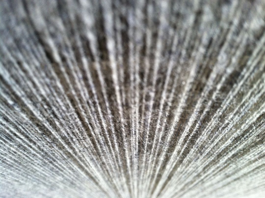 Close-Up of Abstract Texture with Vertical Lines Pattern - Free Images, Stock Photos and Pictures on Pikwizard.com