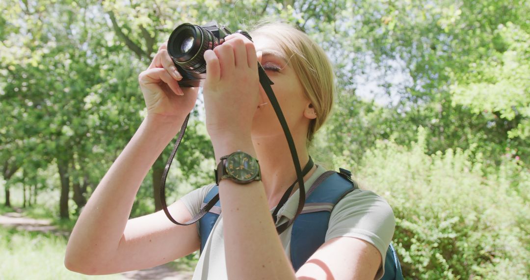 Woman Photographing Nature in Sunny Forest with Camera - Free Images, Stock Photos and Pictures on Pikwizard.com