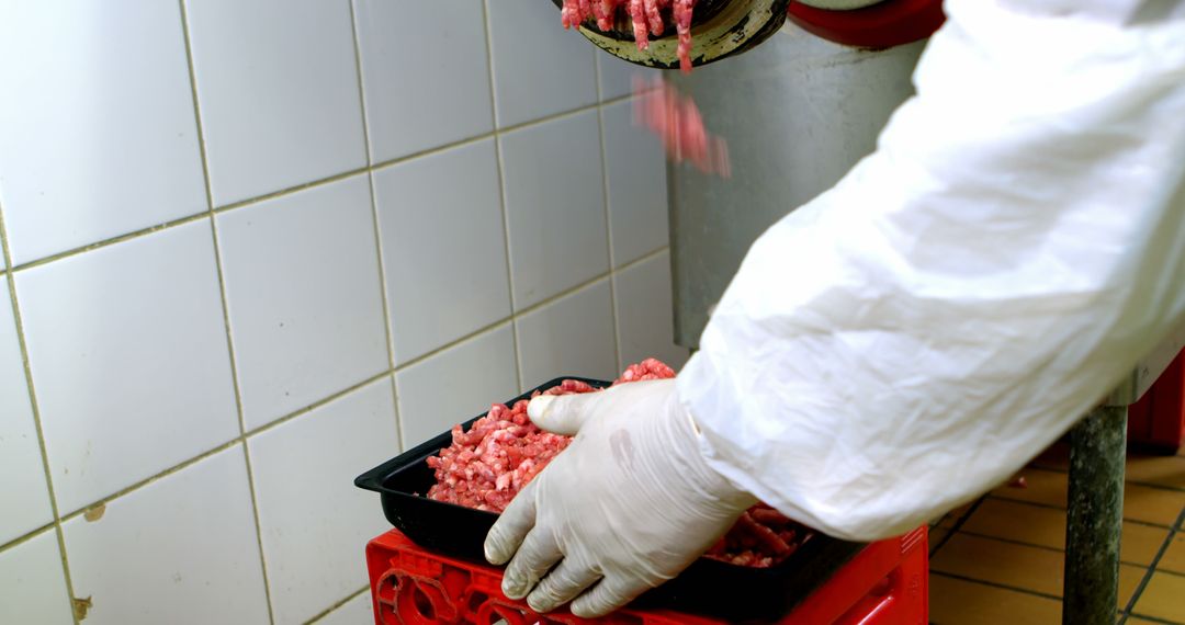 Worker Grinding Meat in Industrial Kitchen - Free Images, Stock Photos and Pictures on Pikwizard.com