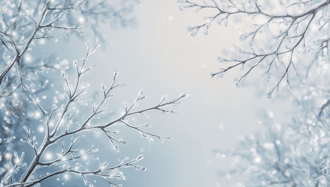 Frosted Branches Framing Winter Bokeh with Ice Crystals and Silvery Glow