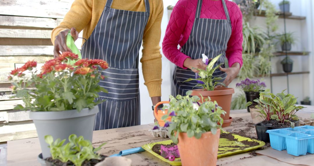 Couple Wearing Aprons Arranging Flower Pots in Garden - Free Images, Stock Photos and Pictures on Pikwizard.com